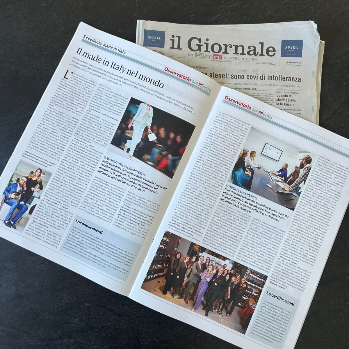 Anteprima articolo che uscirà sul periodico “Osservatorio sul Merito” del Dr. Salvatore Iadevaia